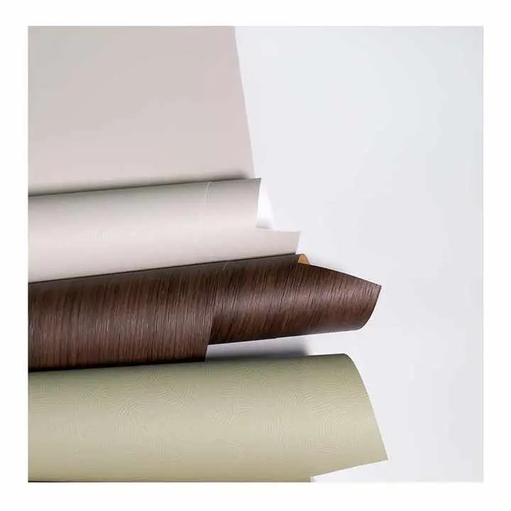 Pse po bëhet një zgjedhje e zgjuar e filmit shtëpiak për shtëpitë moderne?